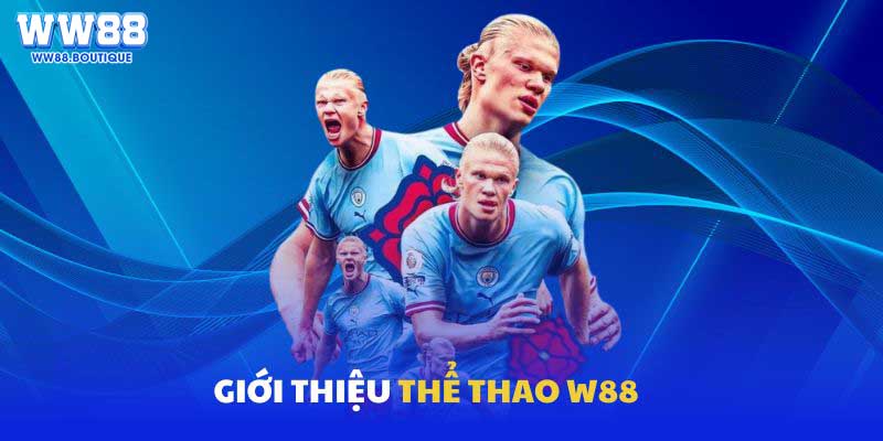 Giới thiệu tổng quan về thể thao ww88